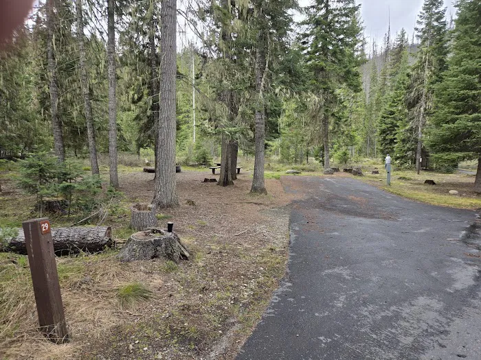 Powell Campground Picture 7