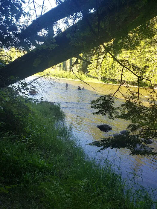 Whitehouse Campground Picture 4