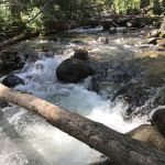Charles Waters Campground