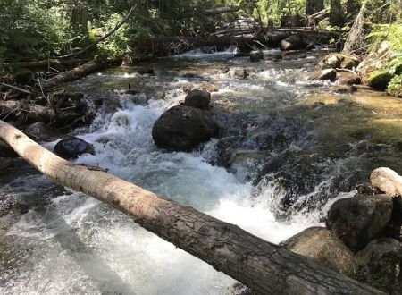 Charles Waters Campground