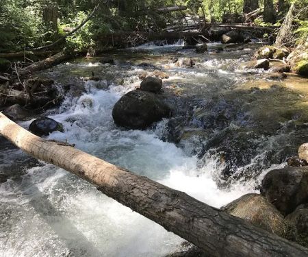 Charles Waters Campground