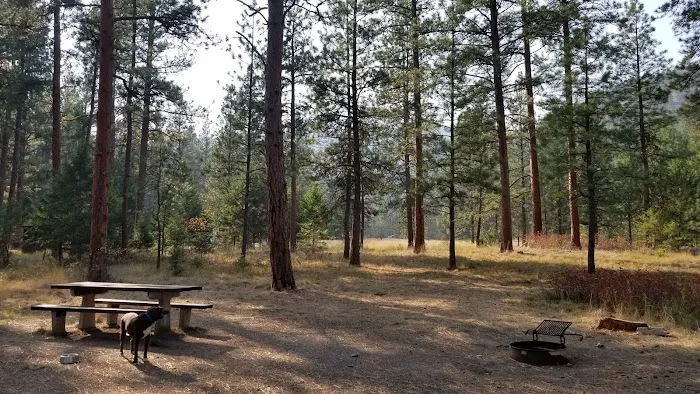 Charles Waters Campground Picture 8