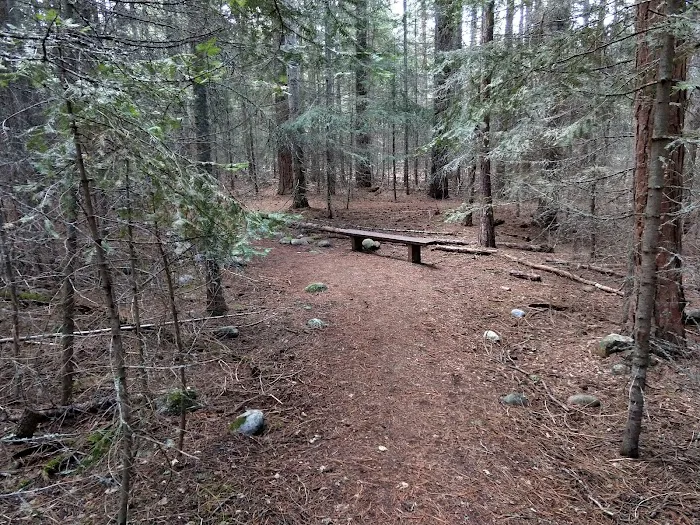 Charles Waters Campground Picture 10