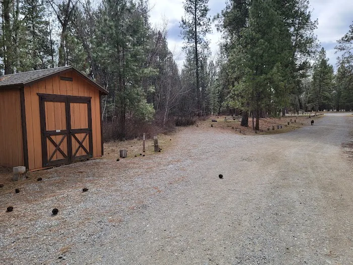 Chief Looking Glass Campground Picture 1