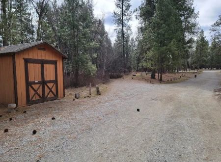 Chief Looking Glass Campground