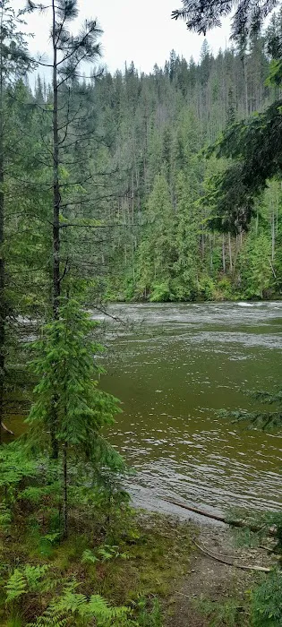 Chief Looking Glass Campground Picture 4