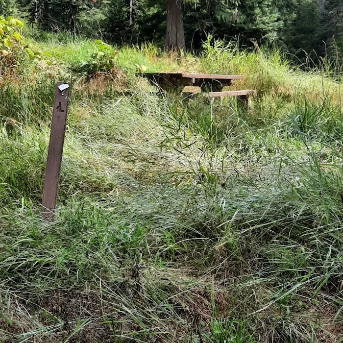 Glover Campground Picture 8