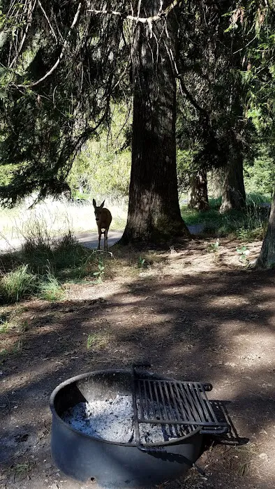Glover Campground Picture 1