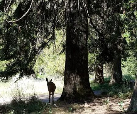 Glover Campground