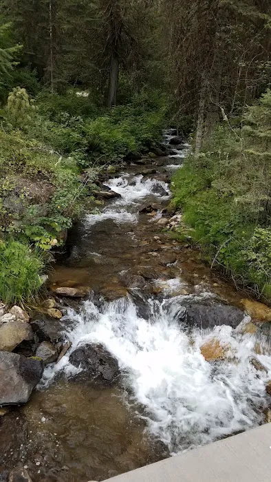 Glover Campground Picture 6