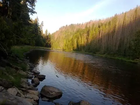 Rackliff Campground Picture 1