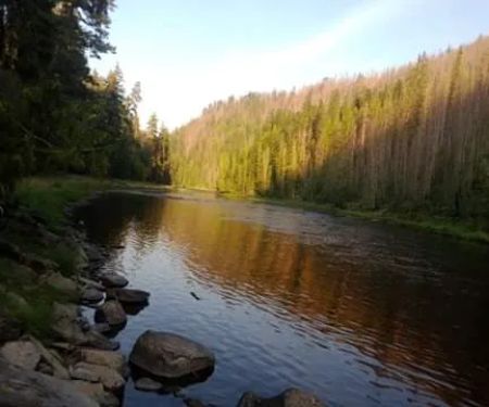 Rackliff Campground