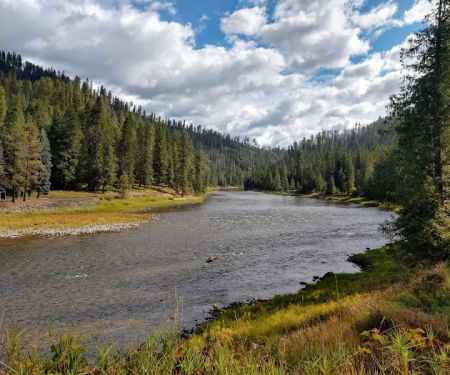 Johnson Bar Campground & Group Site