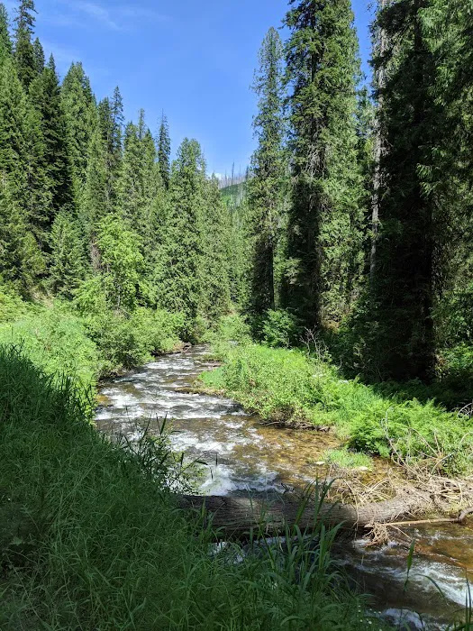 Johnson Bar Campground & Group Site Picture 10