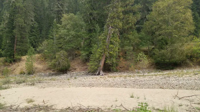 Johnson Bar Campground & Group Site Picture 6