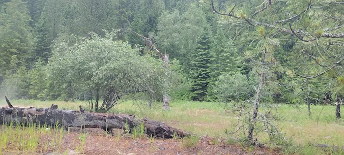 Johnson Bar Campground & Group Site Picture 5
