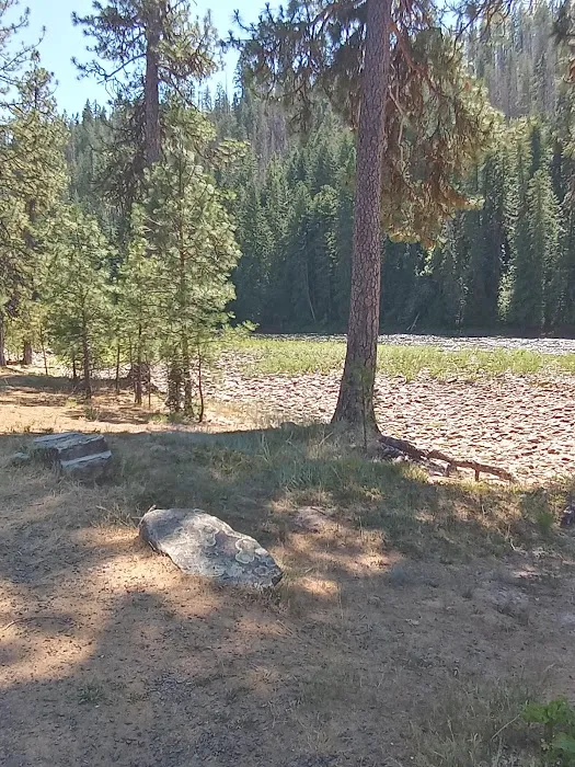 Johnson Bar Campground & Group Site Picture 8