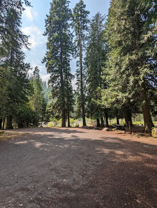 Wild Goose Campground Picture 6
