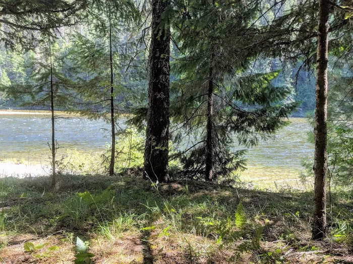 Wild Goose Campground Picture 1