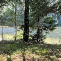 Wild Goose Campground ico