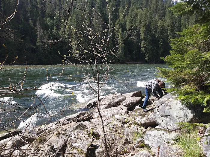 Wild Goose Campground Picture 5