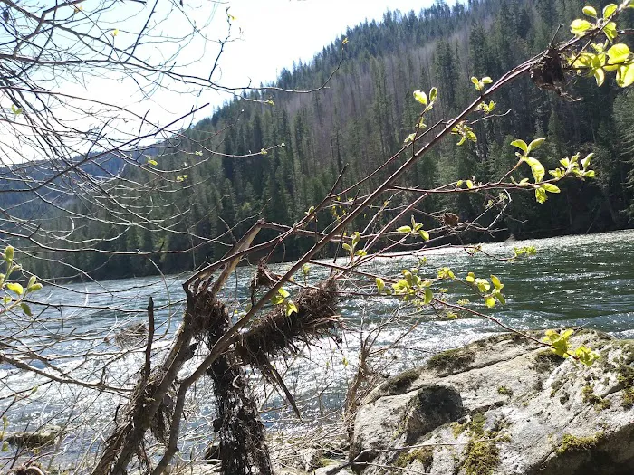 Wild Goose Campground Picture 7