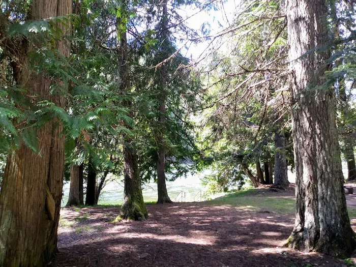 Wild Goose Campground Picture 9