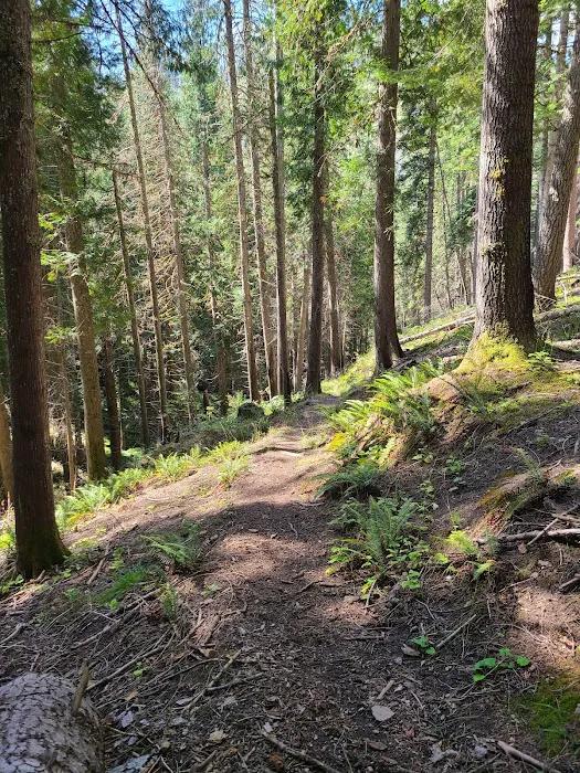 CCC Campground Picture 7