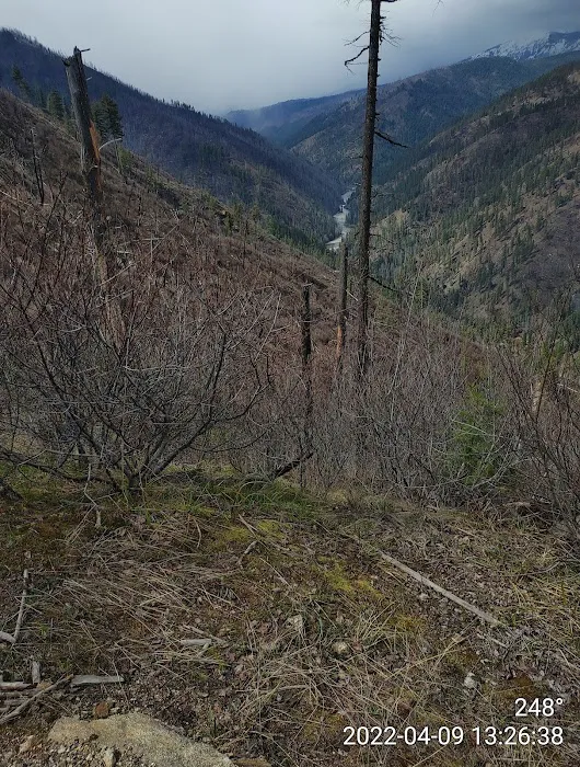 Selway Falls Campground Picture 5