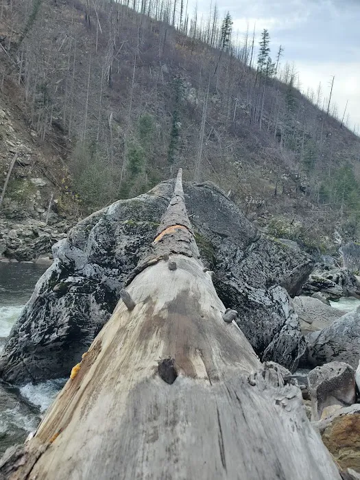 Selway Falls Campground Picture 7
