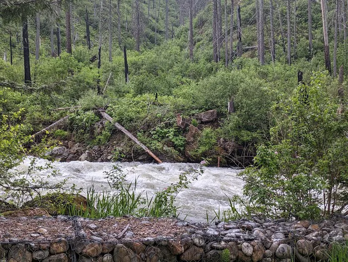 Selway Falls Campground Picture 9