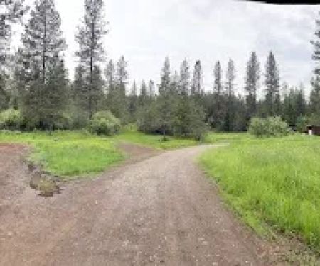 Mountain View, Washington