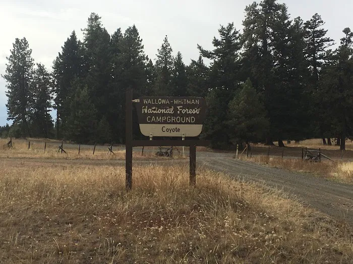Coyote Campground Picture 2