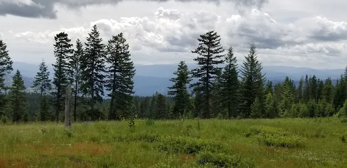 Fish Creek Campground Picture 1