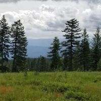 Fish Creek Campground ico