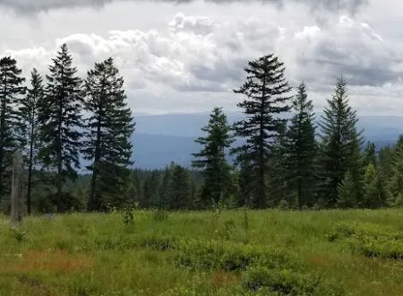 Fish Creek Campground