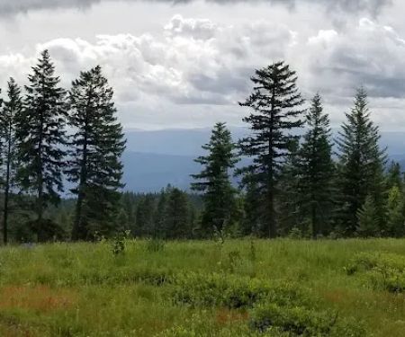 Fish Creek Campground