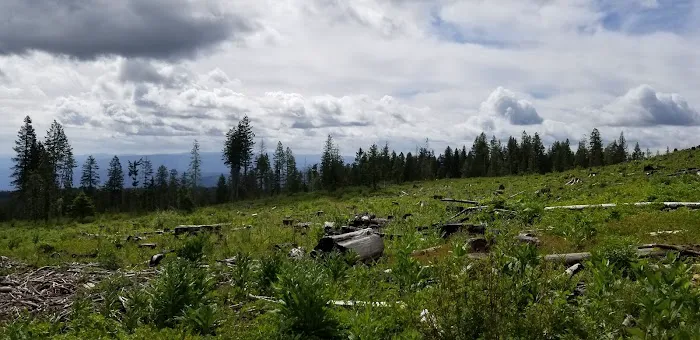 Fish Creek Campground Picture 2