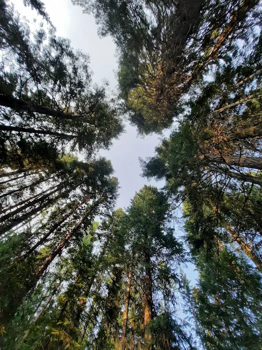 Fish Creek Campground Picture 8