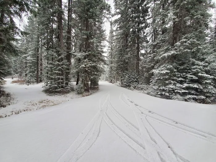 Fish Creek Campground Picture 7