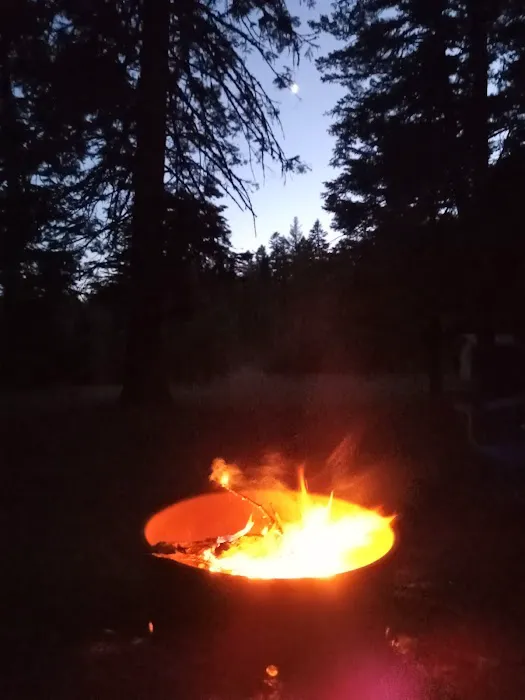 Alder Thicket Campground Picture 3