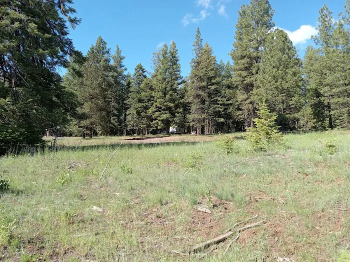 Alder Thicket Campground Picture 7