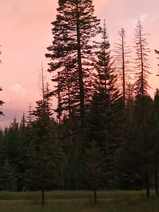 Alder Thicket Campground Picture 10