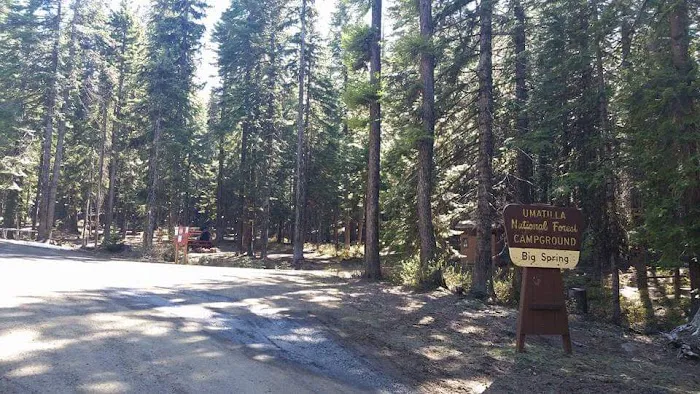 Big Springs Campground Picture 1