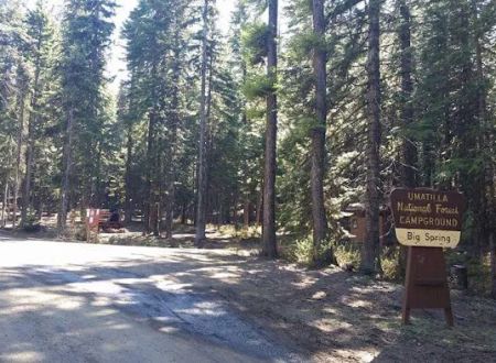 Big Springs Campground