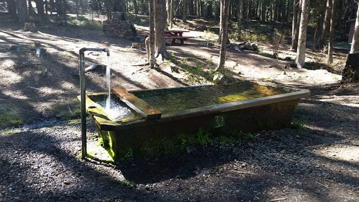 Big Springs Campground Picture 3