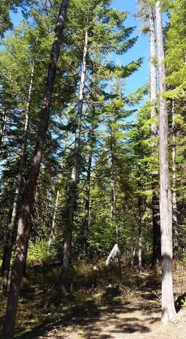 Big Springs Campground Picture 2