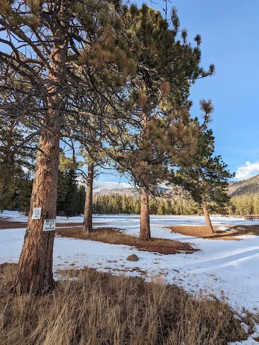 Big Springs Campground Picture 4