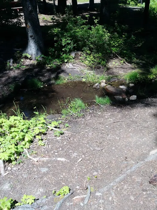 Big Springs Campground Picture 8