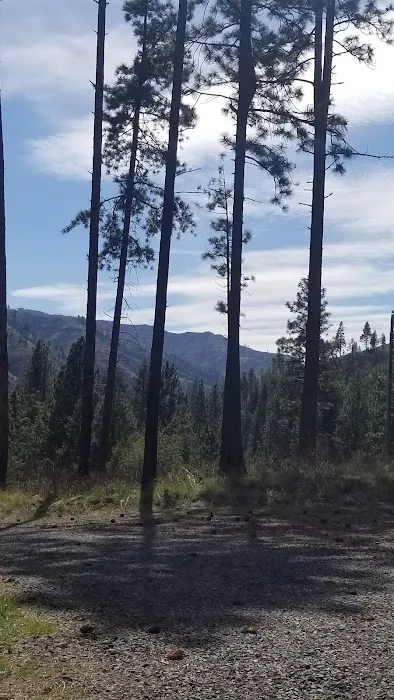 Wenaha -Tucannon Wilderness Dispersed Campground #6 Picture 1